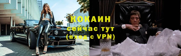 индика Баксан