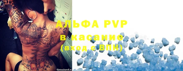 индика Баксан