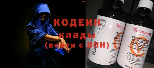 индика Баксан