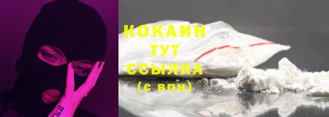 индика Баксан