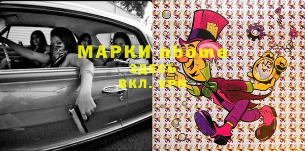 индика Баксан