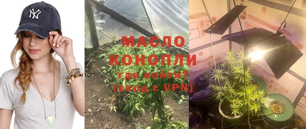 индика Баксан