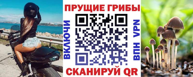 Псилоцибиновые грибы Magic Shrooms  Купить закладки  Кумертау 